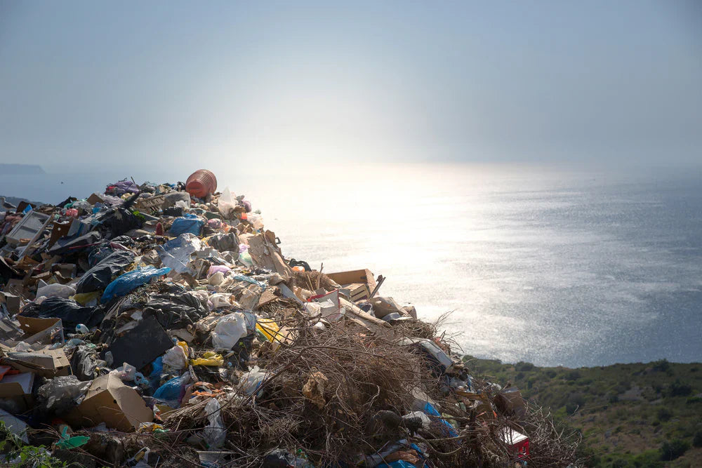 A record amount of plastic has been removed from the ocean