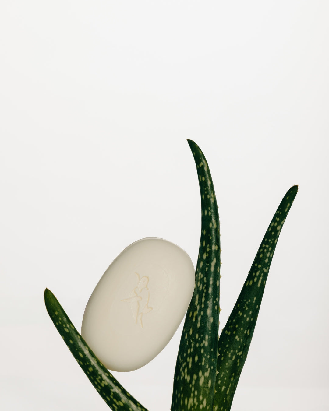 No. 0 - Olive & Shea Nourishing Bar